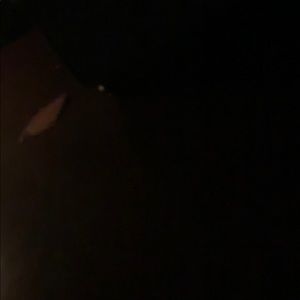 Meet your Posher, Tray